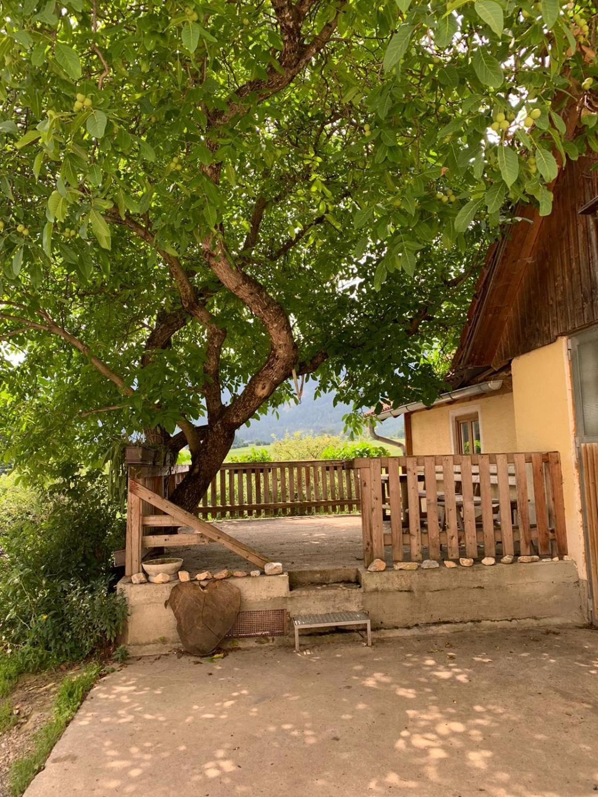 Biohof Gölly Villa Neumarkt in Steiermark Exteriör bild