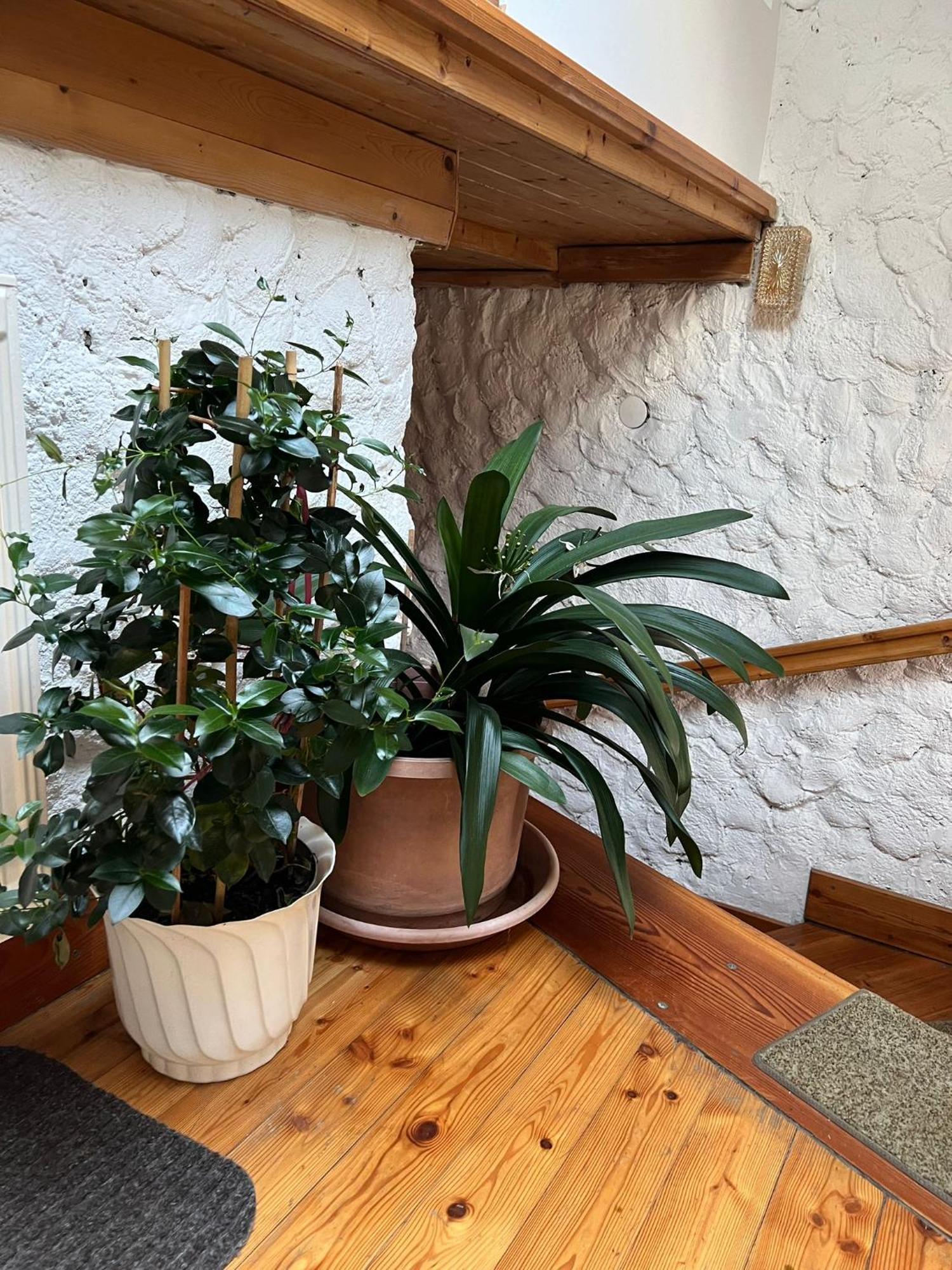 Biohof Gölly Villa Neumarkt in Steiermark Exteriör bild